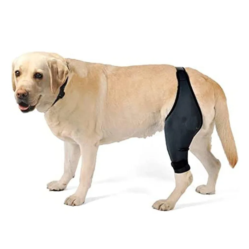 Dog Elbow Protector Rear Leg Dog Elbow Pad Protects Wounds Dog Knee Guard Knee Brace For Back Leg Protects Wounds