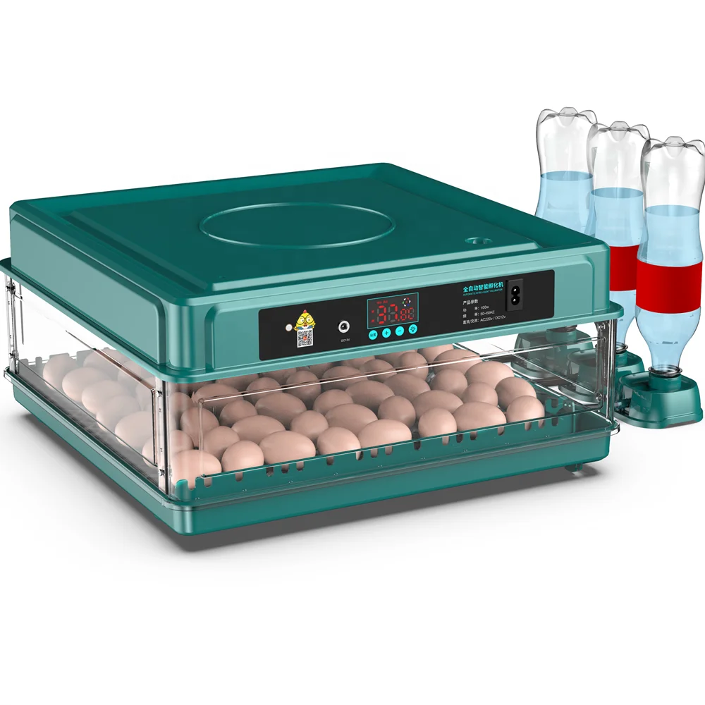 70 Egg Capacity Automatic Water Supply Egg Incubators Hatching Chicken for sale