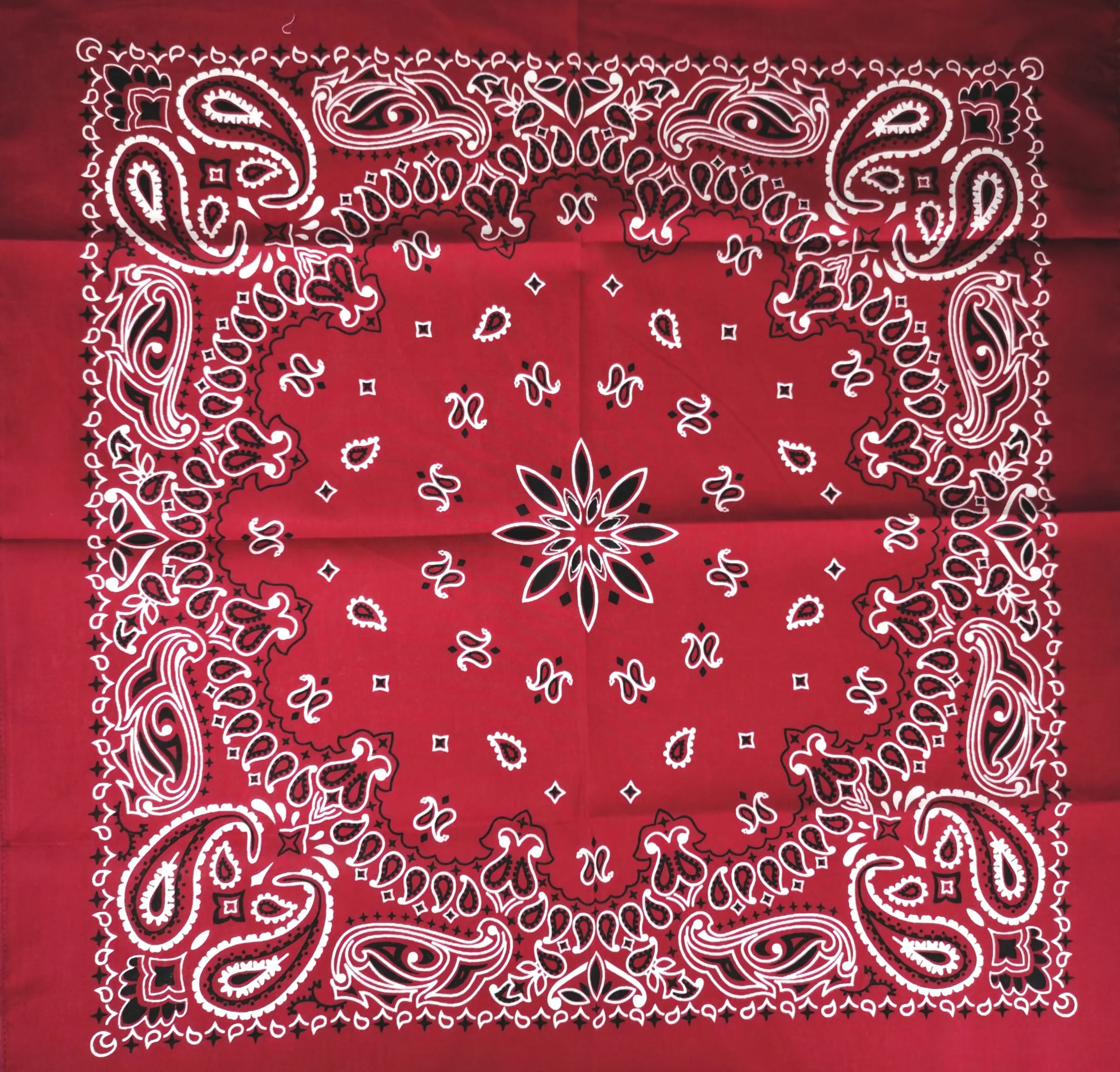 Custom Cotton Printed Paisley Bandana bibs/Dog Bandana
