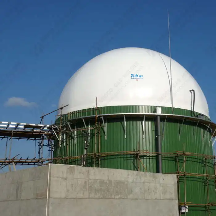 Biogas Digester Roof Balloon