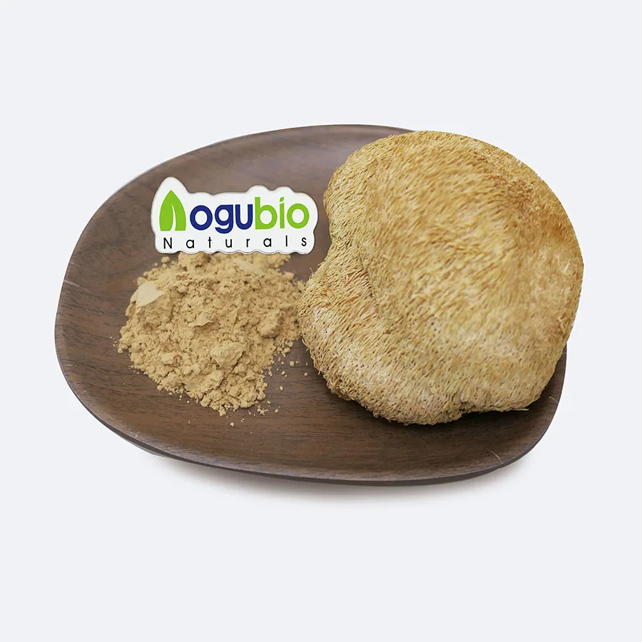 ISO and Organic Certificate Lions Mane Mushroom Extract powder