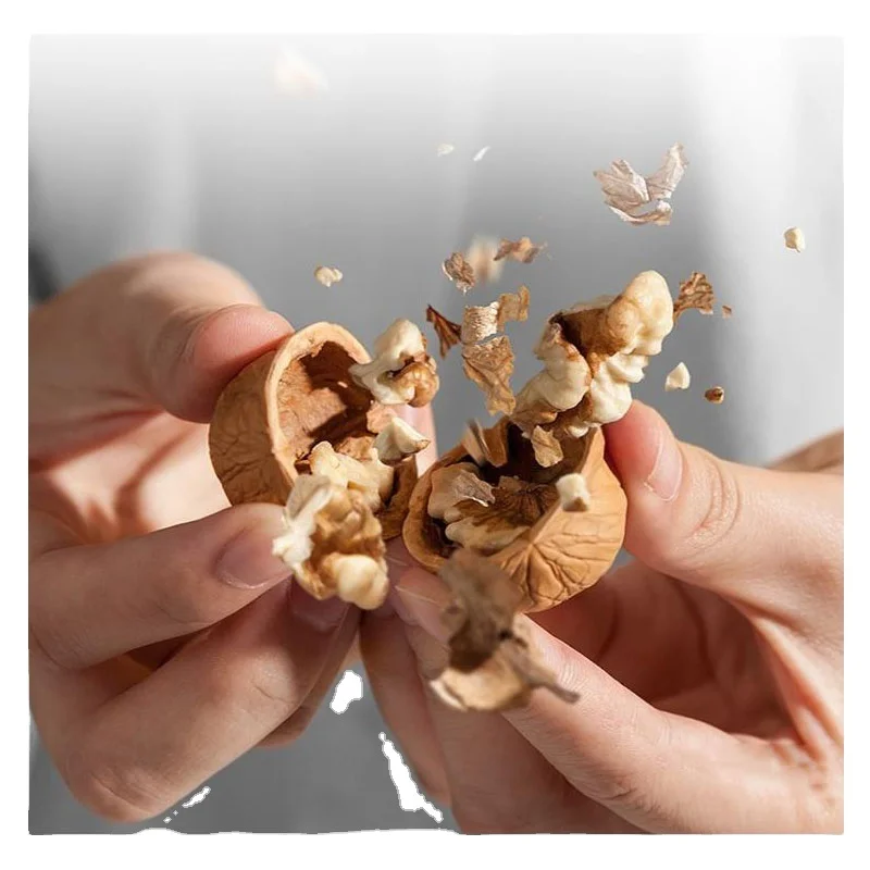 Китайский Синьцзян, грецкие орехи ceviz в бумажной оболочке, продажа с завода