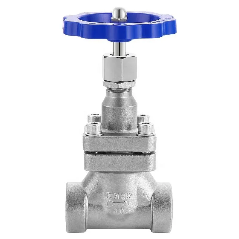 stainless steel socket weld dn50 LPG cryogenic flange check valve for gas vessel
