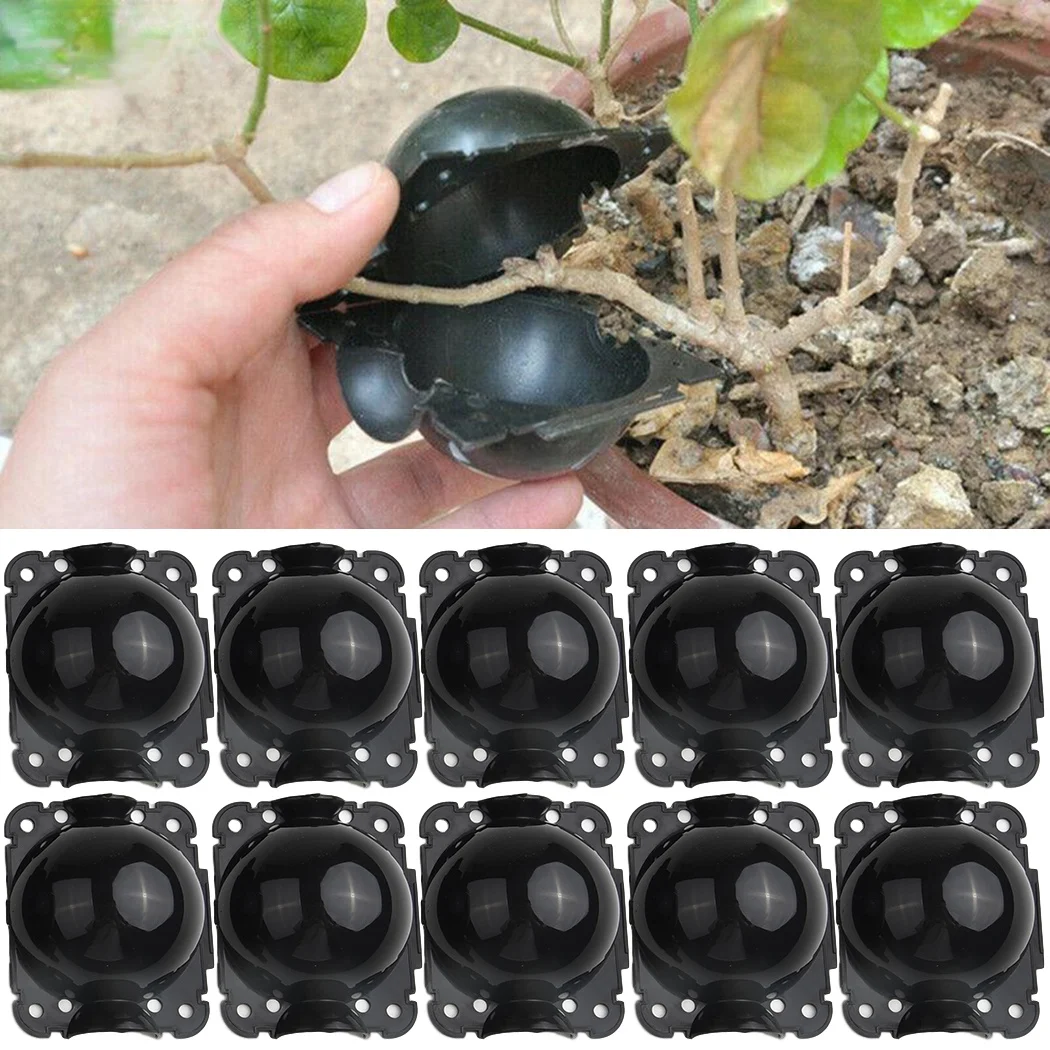 10pcs/pack Plant Rooting Equipment High Pressure Propagation Ball Graft Box Breeding Case For Garden Graft Box Sapling