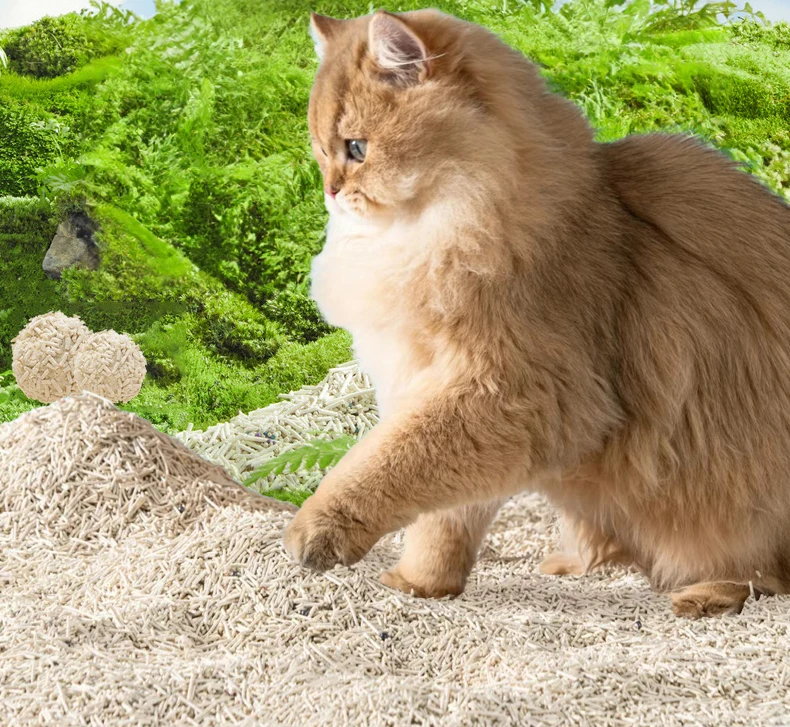 Tofu cat litter (2)