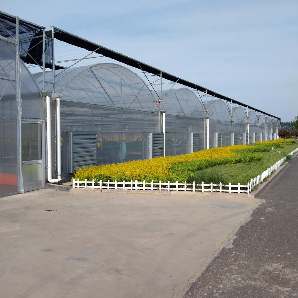 Agricultural greenhouse price wholesale low cost multi-span plastic greenhouse