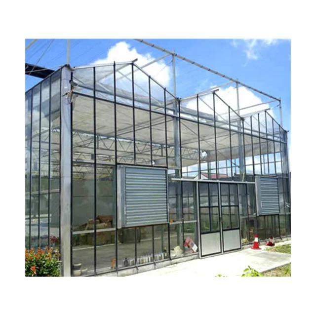 Greenhouse Structure Greenhouse Frame Greenhouse Turnkey Production for Vegetables