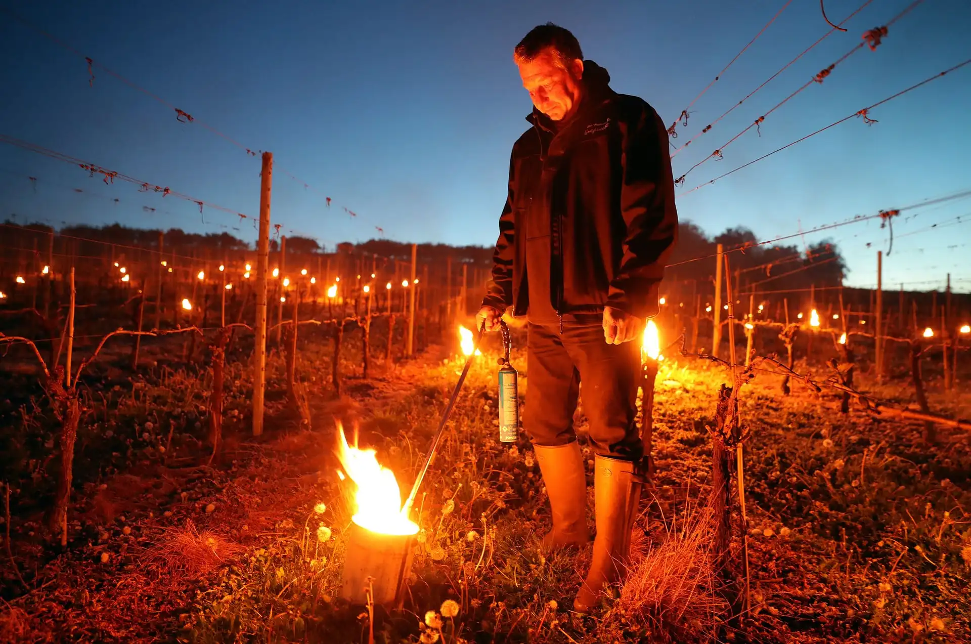 prevent frost vegetable wax antifreeze candle for vineyard orchards use