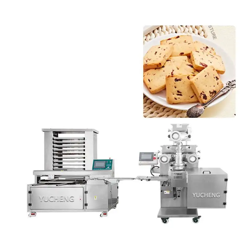 Ice Box Cookies Encrusting Machine Provided 2080 1 Set Fast Food Restaurant Equipment Kibbeh Making Machine for Restaurant 33KW