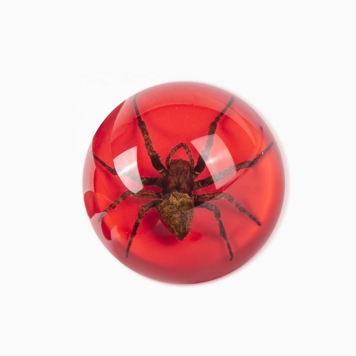 Amazing Spider Paperweight  64mm Diameter Half-domed Book Paperweight Best Gift For Boys