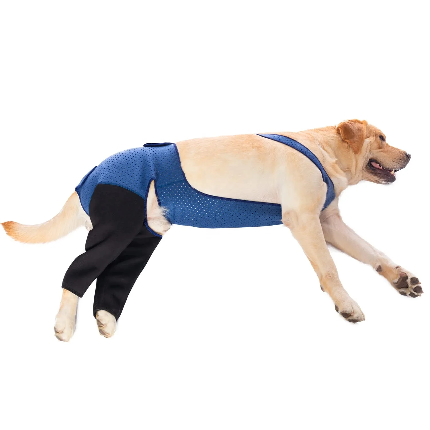Dog Recovery Suit, Cone Collar Alternative, Abrasion Resistant Dog Recovery Rear Sleeves Washable 2.5mm Thick recovery suite