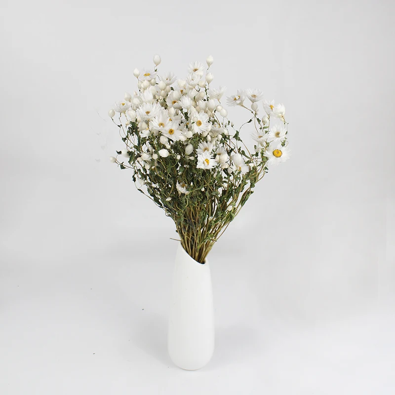 Pure colors Dried Rhodanthe flower artificial flower for Christmas decoration