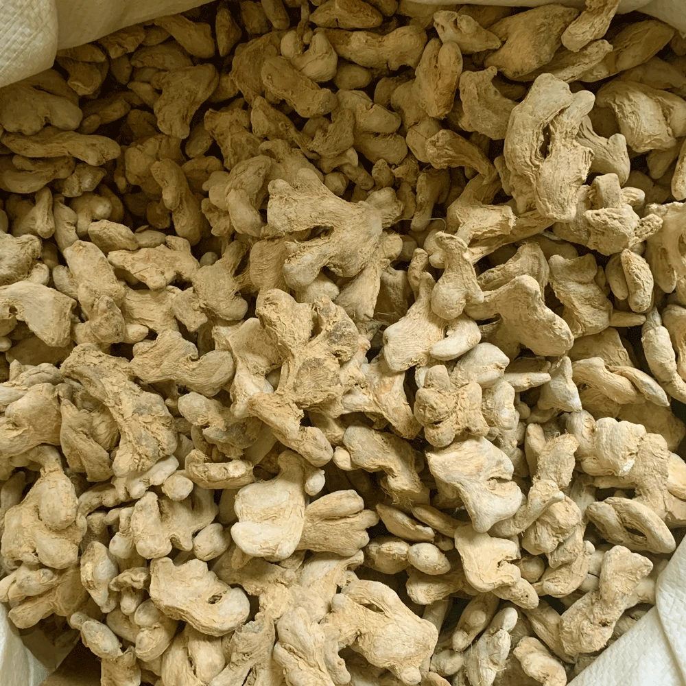 China Healthy food &Spices Supplier wholesales high quality dried ginger sticks cheap price ginger pieces dried with low price