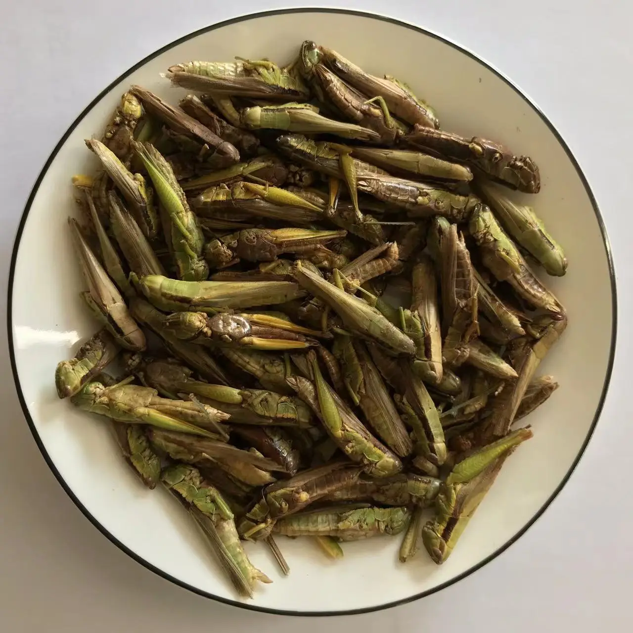 Locust Freeze Dried Grasshopper Edible Bug for Chicken Bird Pet