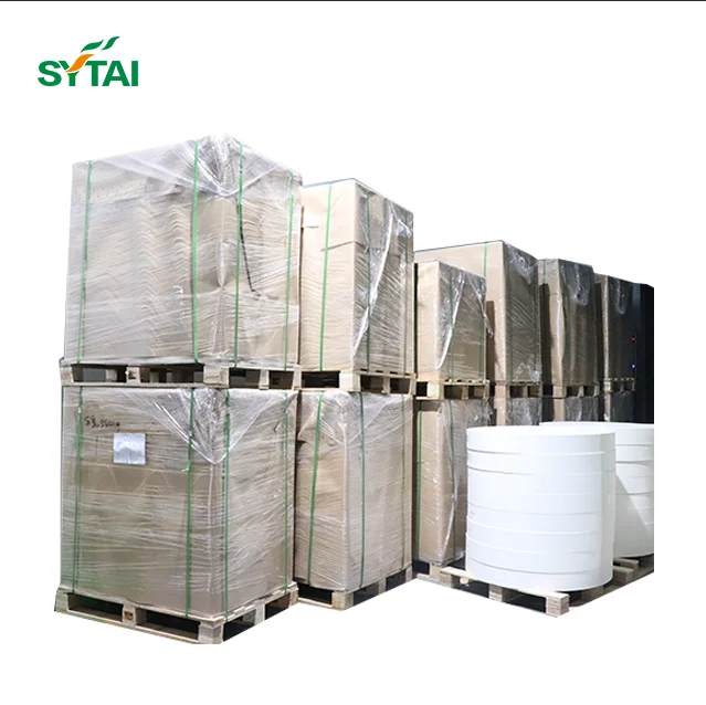 Food Grade Single Wall Double Wall PE Coated Paper Raw Material Paper Cup Roll