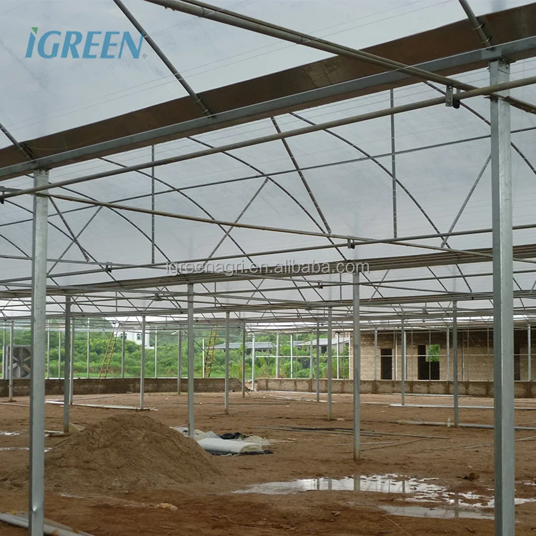 30 X 100 Greenhouse Greenhouses for Vegetable Garden Chinese Greenhouse Kit Customized Film Large Green House Metal Frame 4m--7m