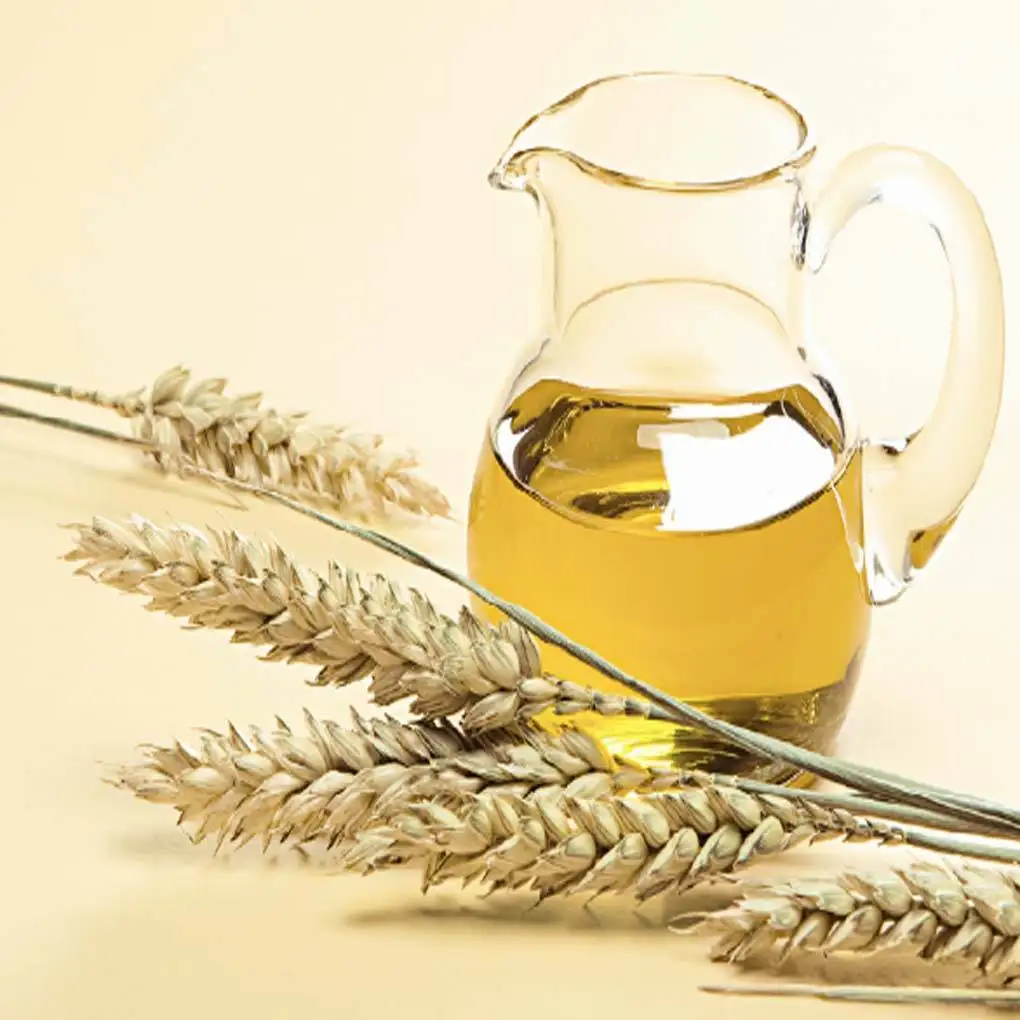 
Hot sale Organic Wheat germ oil fragrance oil with low price 
