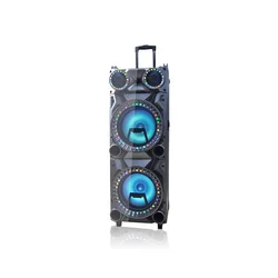 Big karaoke mic amplifier module active speaker with TWS DSP USB, SD, LED digital display