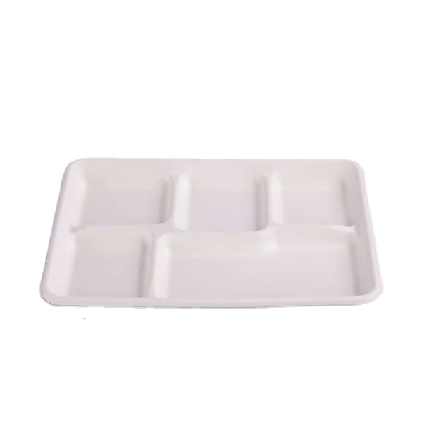 OEM Logo Bagasse Fiber 6 Compartment Hospital Lunch Plate Food Tray Disposable Fast Food Serving School Tray