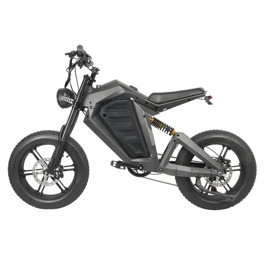 2024 New Model 48V 750W High Power Extreme Cross Electric Mountain Bike With Hydraulic Disc Brake 20 Inch Electric Fat Tire Bike