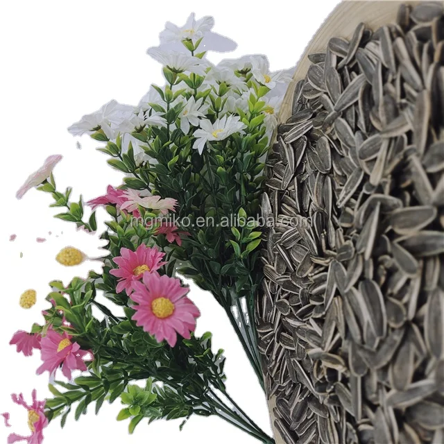 High quality dried fresh ginger market price per ton wholesale  buyers for export in China Ginger