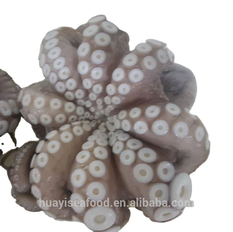 Лучший Замороженный кулинарный Осьминог вульгарис