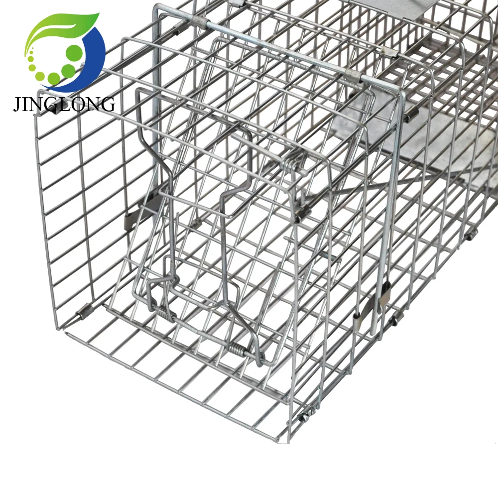 Buy Galvanized Stray Feral Cat Raccoon Living Animal Traps Cage For Sale