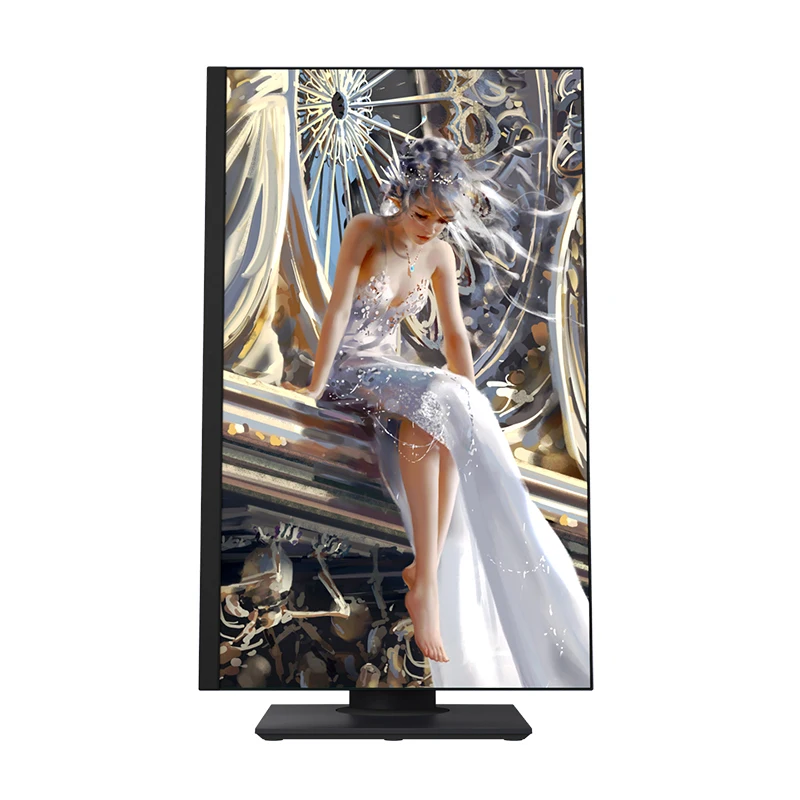 New Product 1920*1080 240h 1ms 1080P IPS 24.5 Inch Gaming Flat Display Pc Monitor