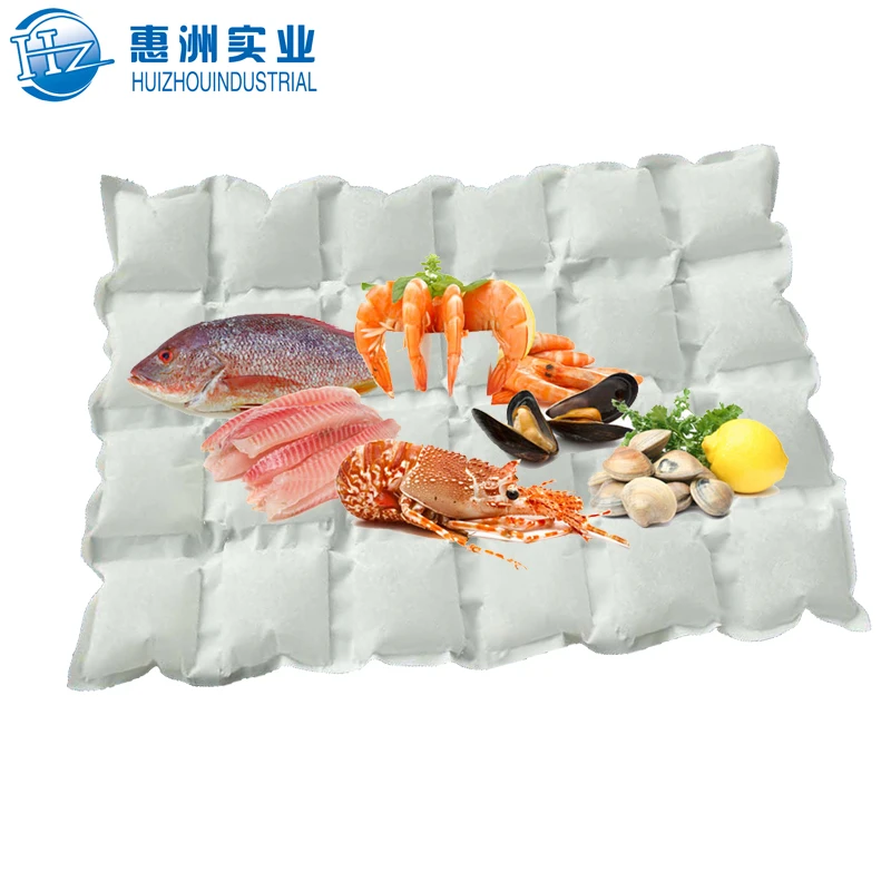 Воздушная перевозка ледяной пакет медицинский уход фрукты молоко холодная почта упаковка сухой лед кубик холодный лед упаковка листов