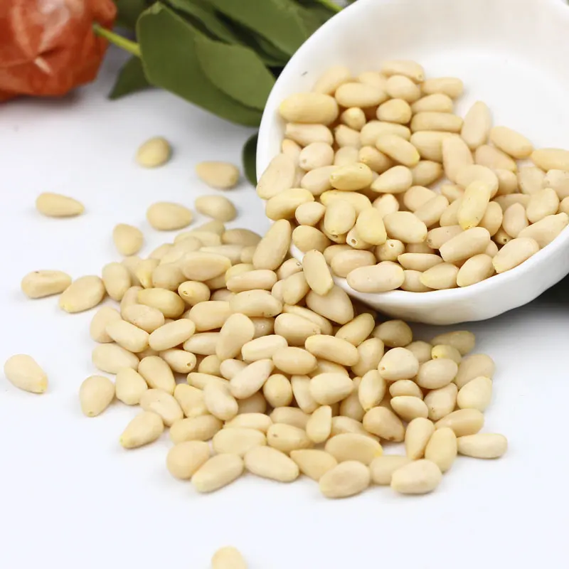 Pure natural wild cedar pine kernel is rich in nutritional value