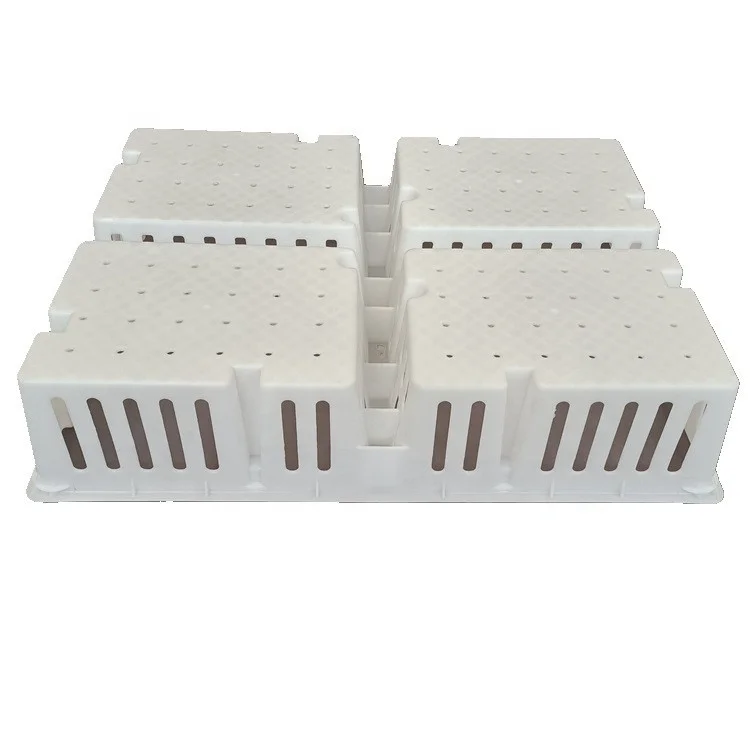 transport plastic baby  chicks box.jpg