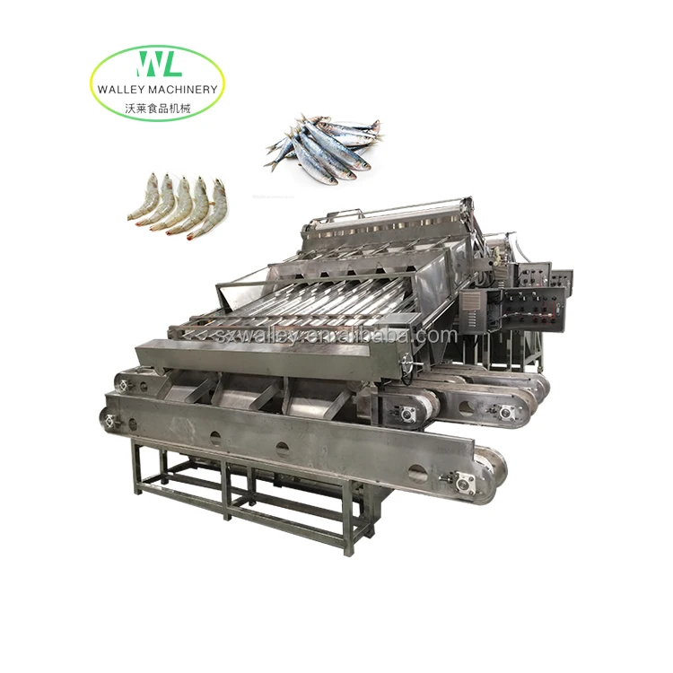 Hotsale Industrial Prawn Washing Size Separator Automatic Fish Sorting Equipment Sardine Grader Shrimp Grading Machine