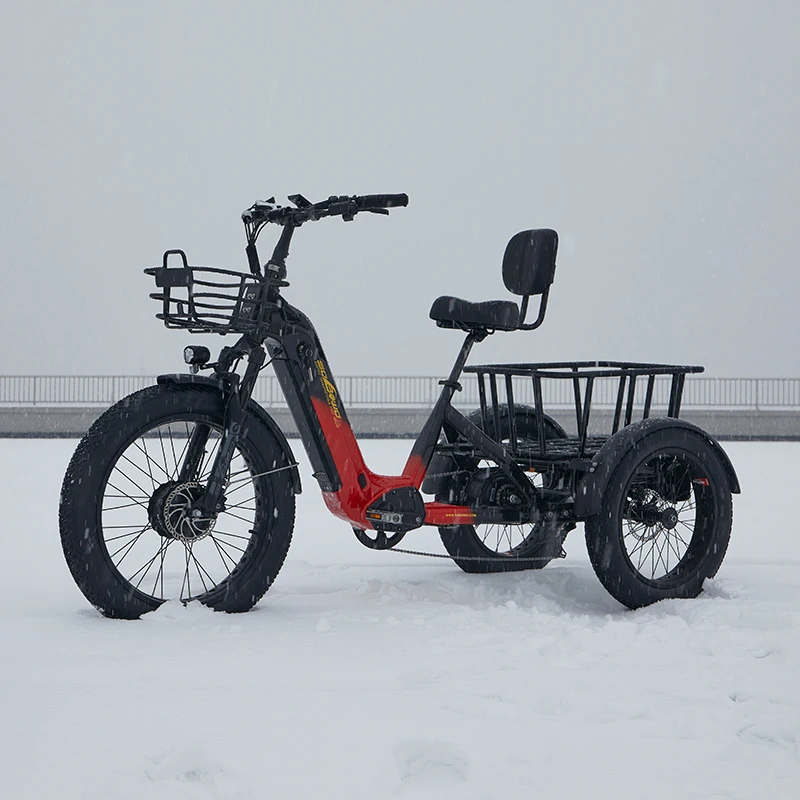 New step thru cargo electrica triciclo 48v bafang dual motor etricycle 2000w 40ah torque sensor dual batteries electric trike