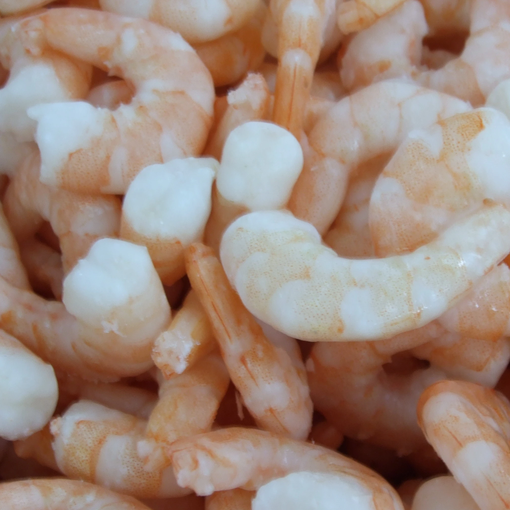 
Good quality best delicious frozen seafood crystal red shrimp for sale 