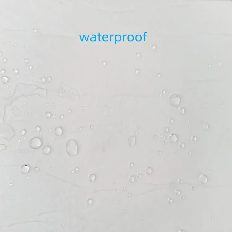 11_ (1)_.jpg