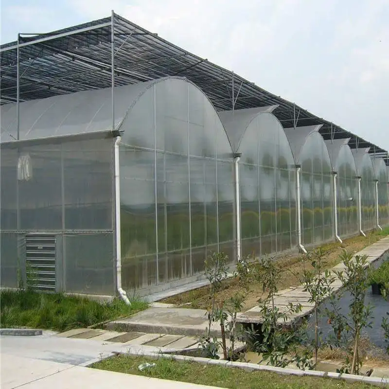 FM Cheapest In Stock Turnkey Projects Plastic Film Agricultural Tomato Hydroponics invernadero Green House Greenhouse