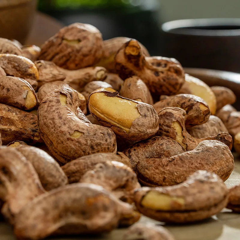 High Quality Raw Cashew Nuts Professional Manufacturer Cashew Nuts Vietnam