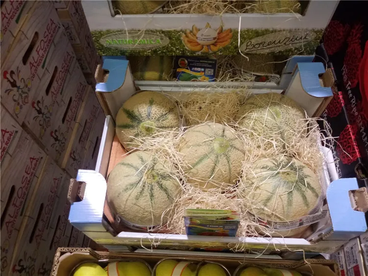 Italy lorenzini Orange Pulp Melon Musk,Fresh Fruit