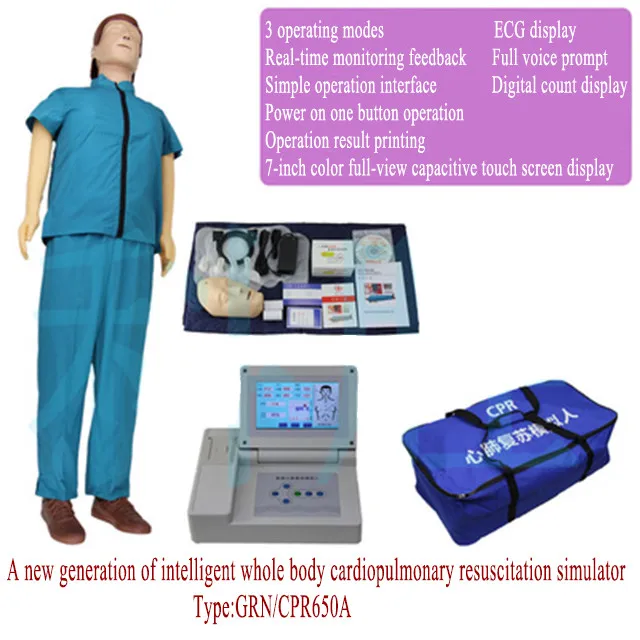 For Sale CPR Model Medical Teaching Adult CPR Training Equipment Manikin Support Wholesale Manikin Cpr Face Shield Natural Size