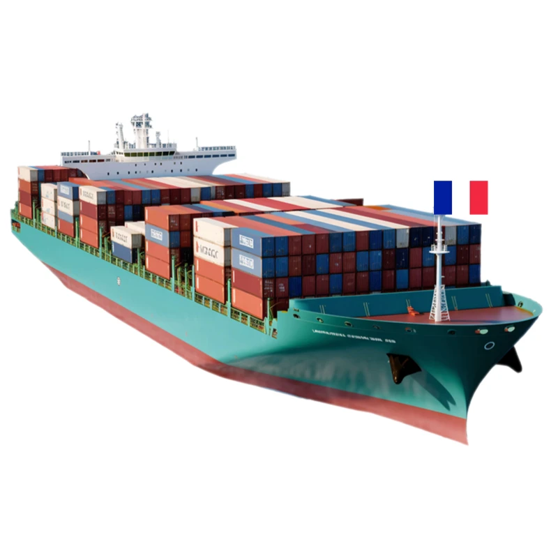 Cheapest DHL Express Tracking Shipment Sea Freight Forwarder to FR Shandong Shipping Agent Shipping Ali