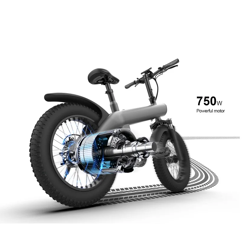 USA EU Ready Stock 20 Inch Fat Tire Q3 Electric Bicycle Off Road 1000W 750W Motor Electric Mountain Bike