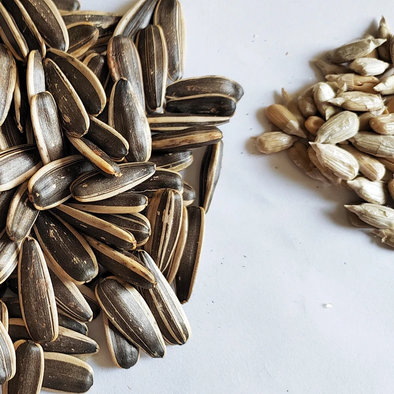 China Quality 363 Sunflower Seeds Sunflower Seed Supplier Fresh Sunflower Seeds Customizable Size