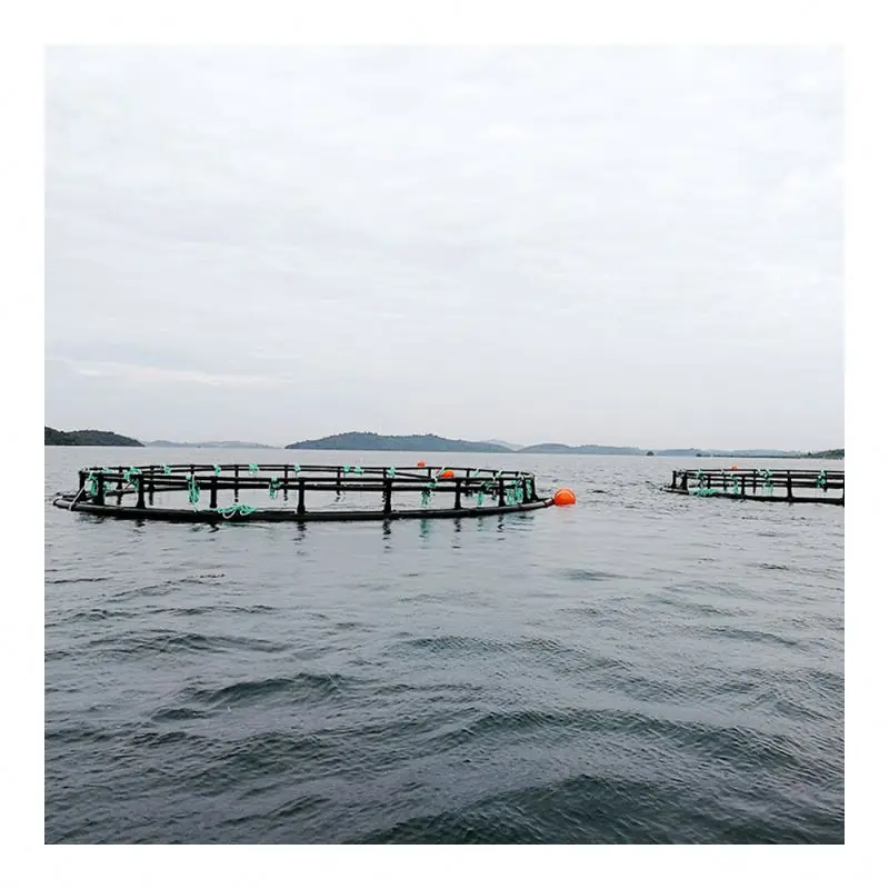 Aquaculture Traps Product Type and Fish Use offshore fish cages deep water open ocean