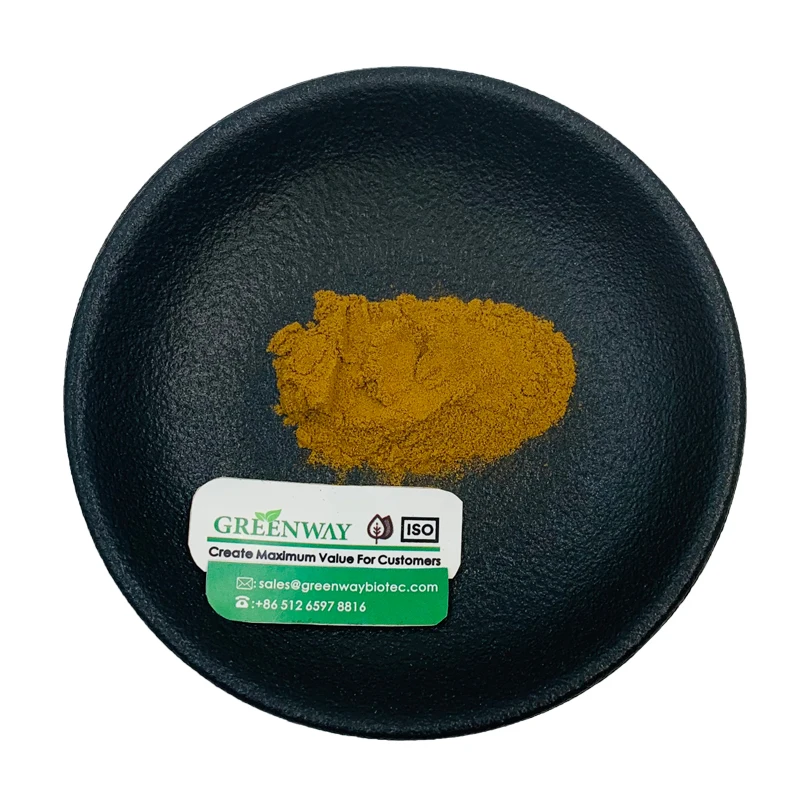 Competitive Price Hydrastis Canadensis Extract Golden Seal Root Extract Powder