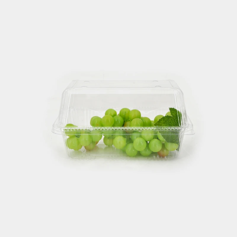 Clear Lid PET Material Plastic Tray Good Sale Disposable Fruits Container for Food Packing Fruit Vegetables grape Packaging