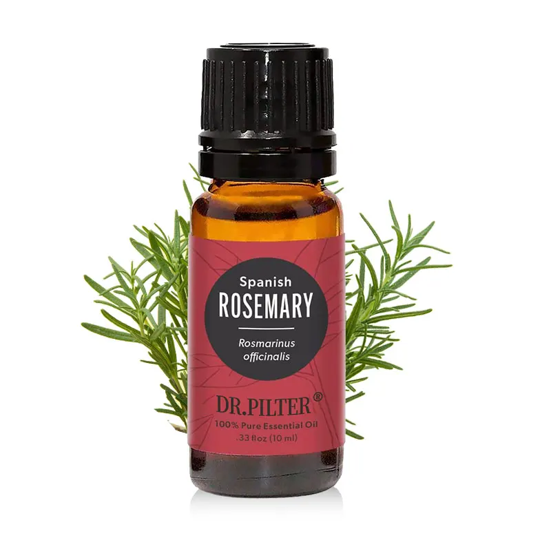 Premium Grade 6pcs Lavender Tea Tree Rosemary Essential Oil Perfume For Skin And Body