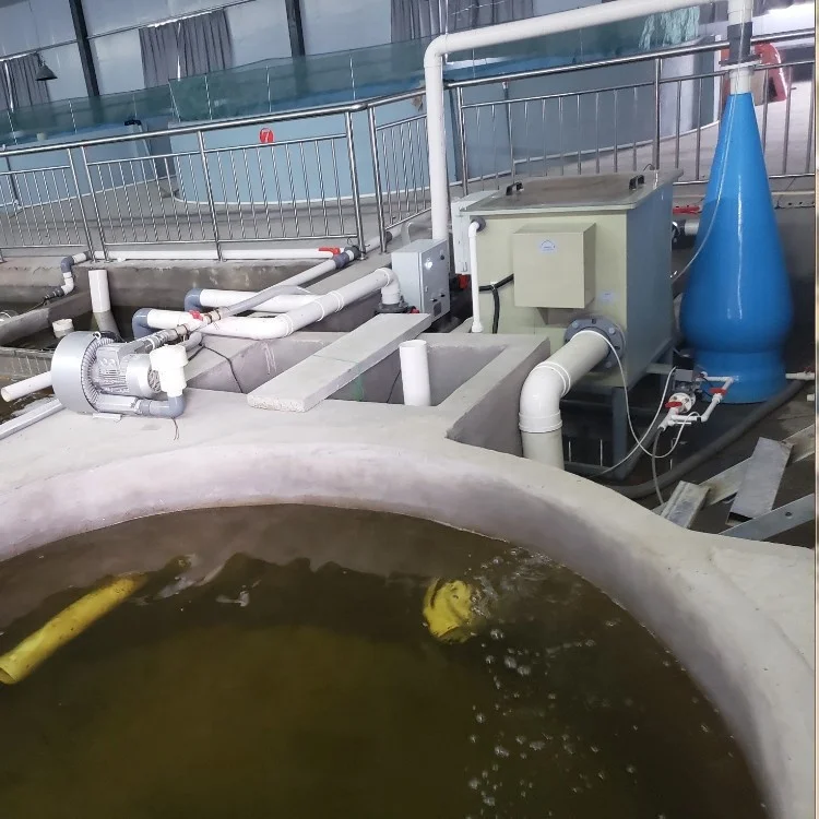 hot sale aquaculture  cone oxygen for fish farming/RAS