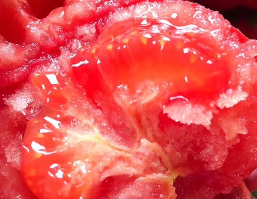 
5g/bag New havested big size fruits early maturity high yield tomato seeds 