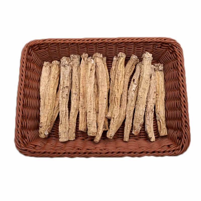 Wholesale artificial second class Chinese herb dangshen dried codonopsis health food Gansu Zhongzai