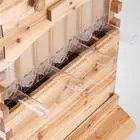 Automatic Wood Bee Hives Auto Frames Apiculture Beekeeping Equipment Tool Beehive Free Flowing Honey Nest Frame Nest Base Hive